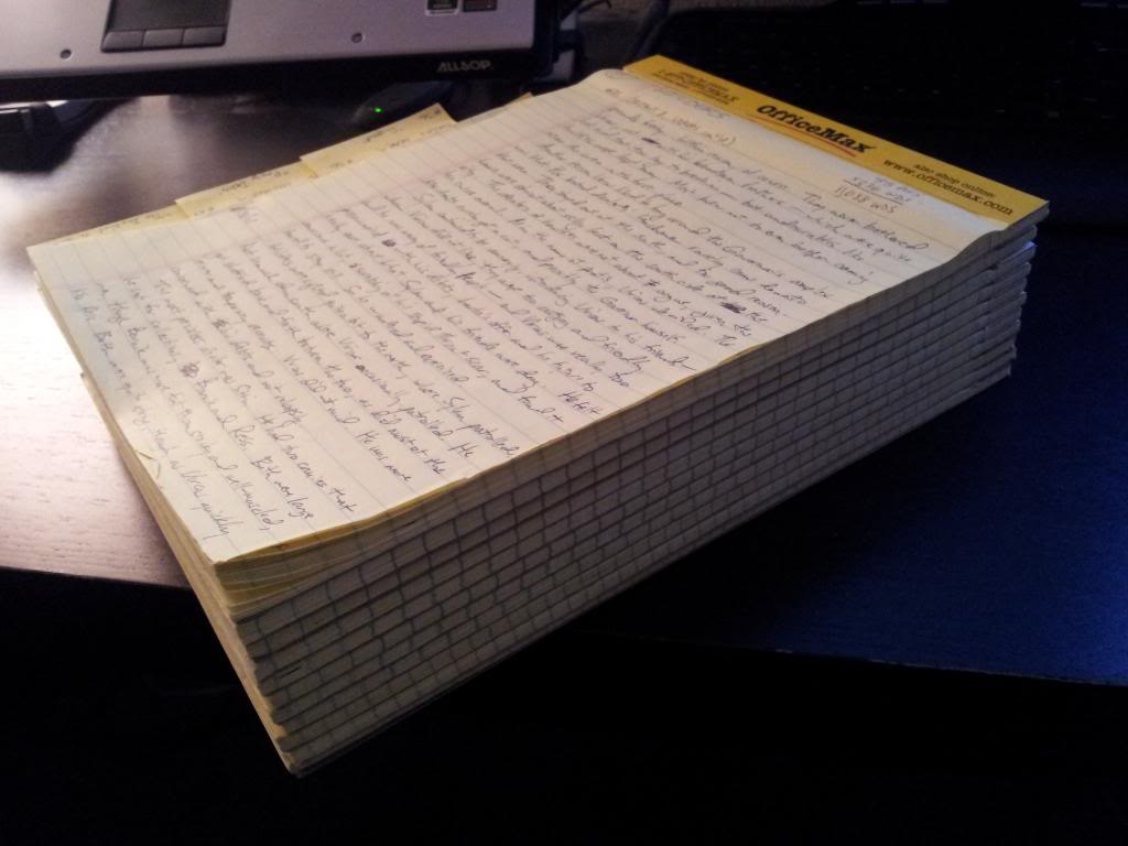 11 notepads on which Wilders was written, in a stack